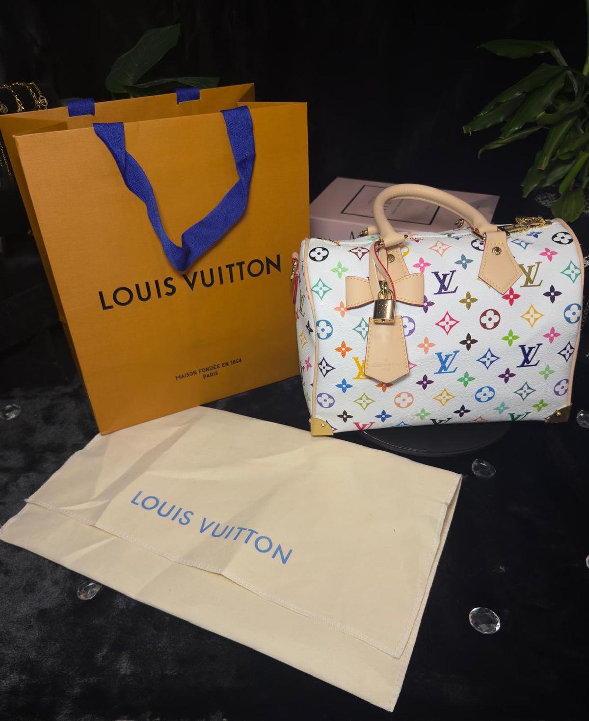 LV Multicolour Speedy Bag